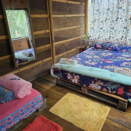 Eco Hostel Organic Life ตรินดาเจอ ภายนอก รูปภาพ