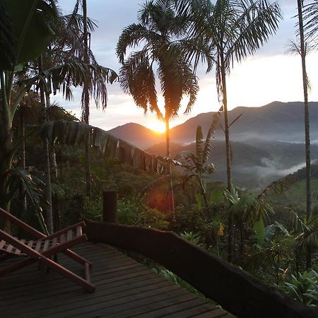 Eco Hostel Organic Life ตรินดาเจอ ภายนอก รูปภาพ