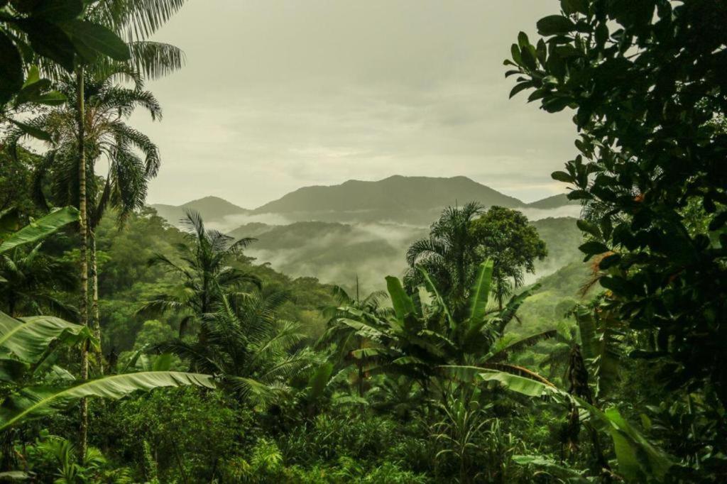 Eco Hostel Organic Life ตรินดาเจอ ภายนอก รูปภาพ