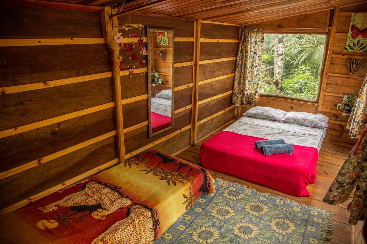 Eco Hostel Organic Life ตรินดาเจอ ภายนอก รูปภาพ