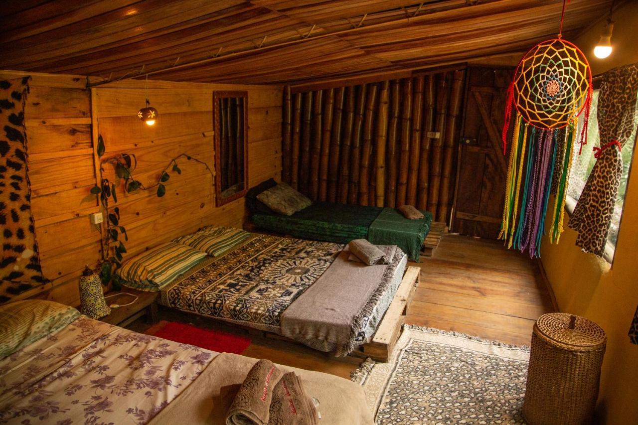 Eco Hostel Organic Life ตรินดาเจอ ภายนอก รูปภาพ