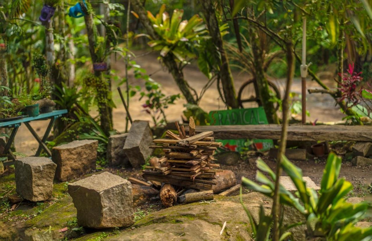Eco Hostel Organic Life ตรินดาเจอ ภายนอก รูปภาพ