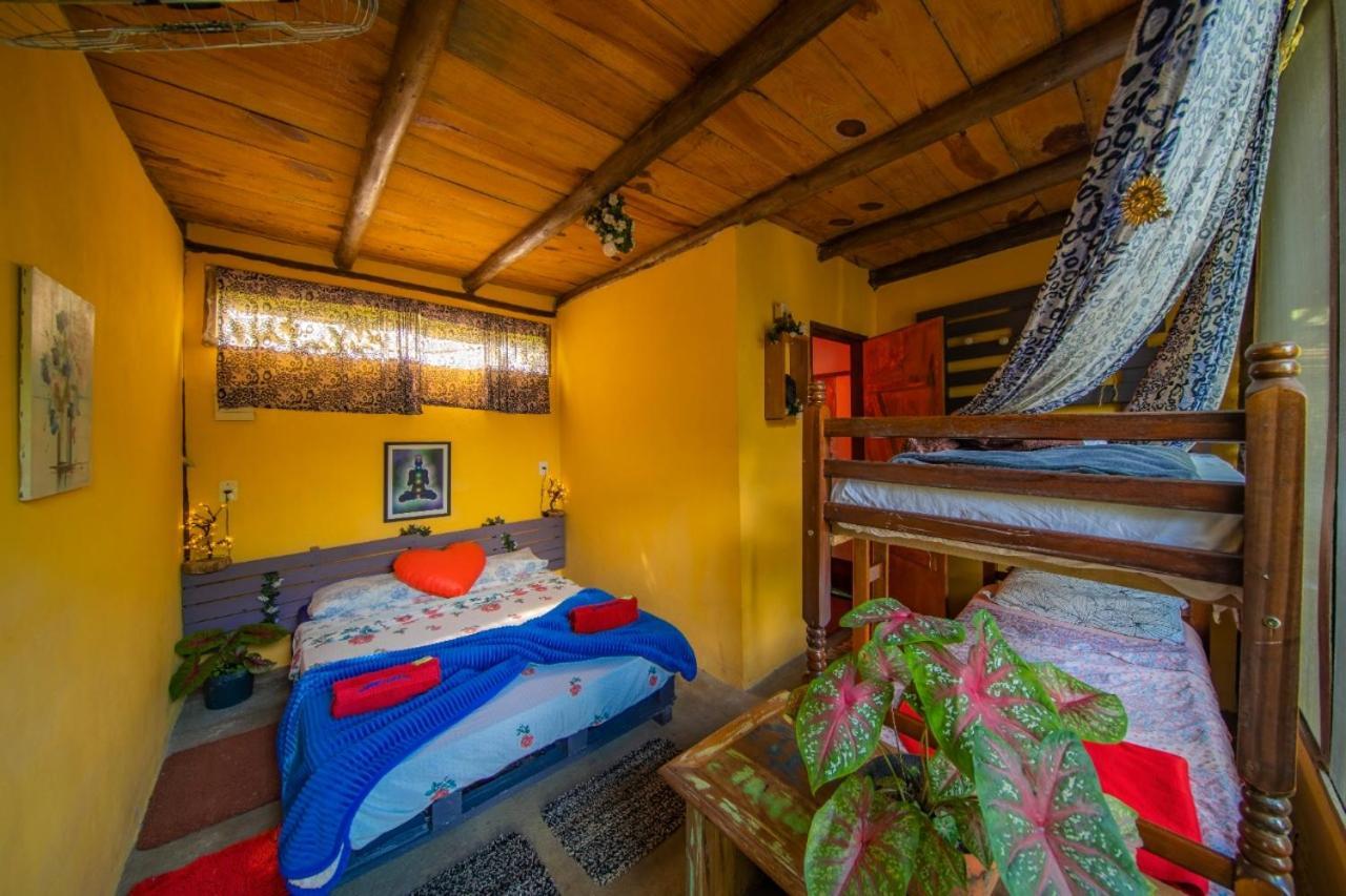 Eco Hostel Organic Life ตรินดาเจอ ภายนอก รูปภาพ
