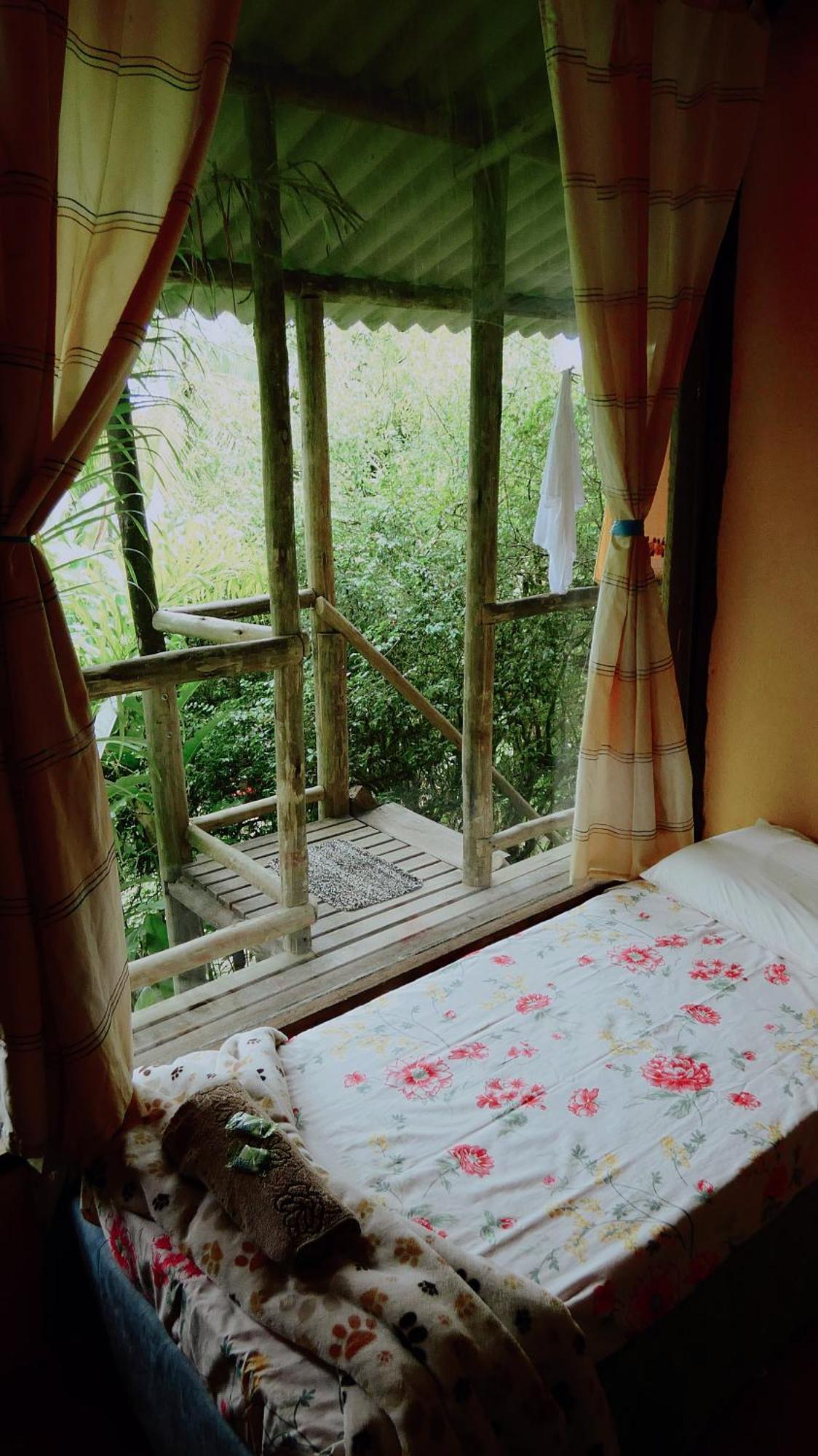 Eco Hostel Organic Life ตรินดาเจอ ภายนอก รูปภาพ
