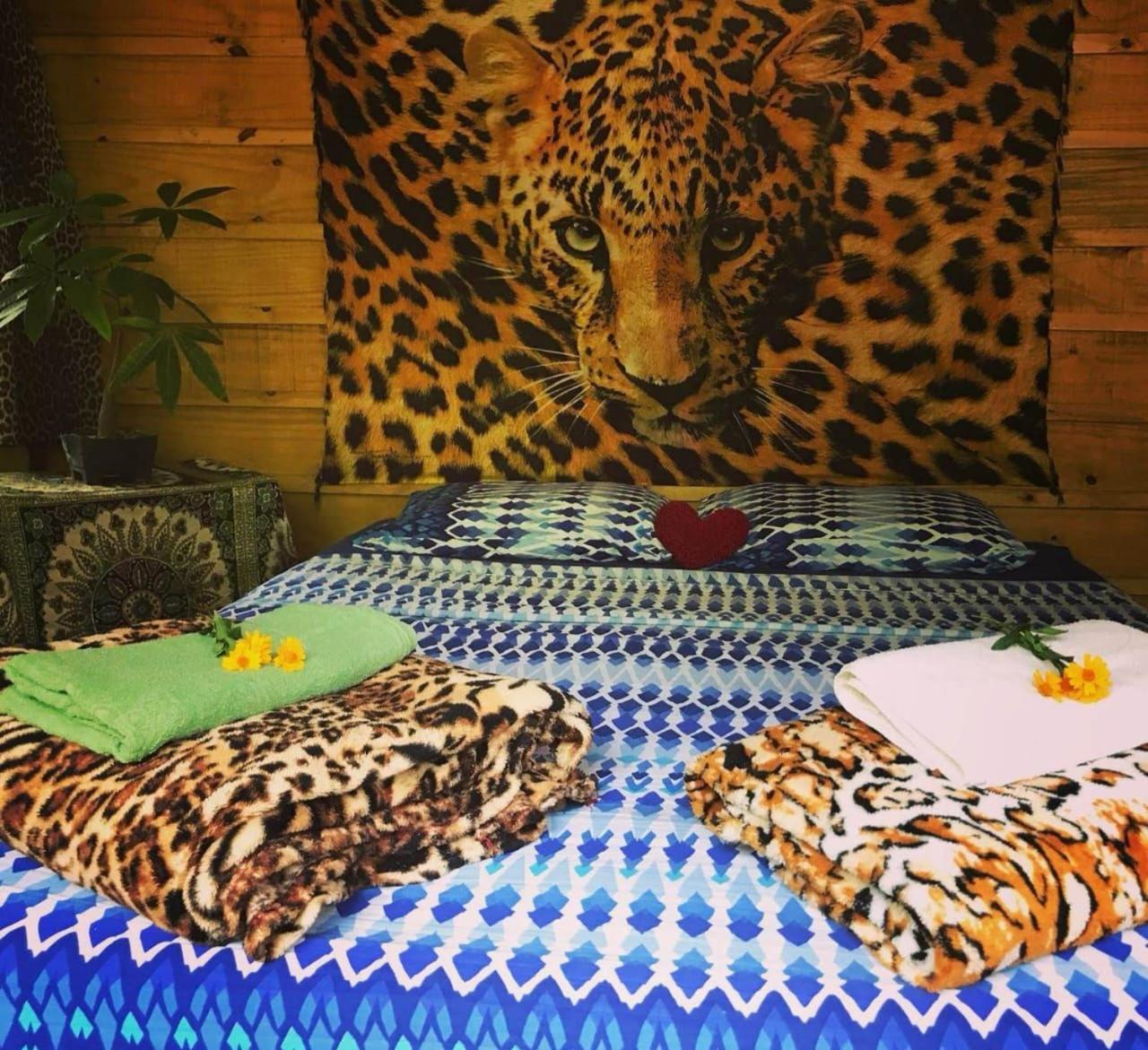 Eco Hostel Organic Life ตรินดาเจอ ภายนอก รูปภาพ