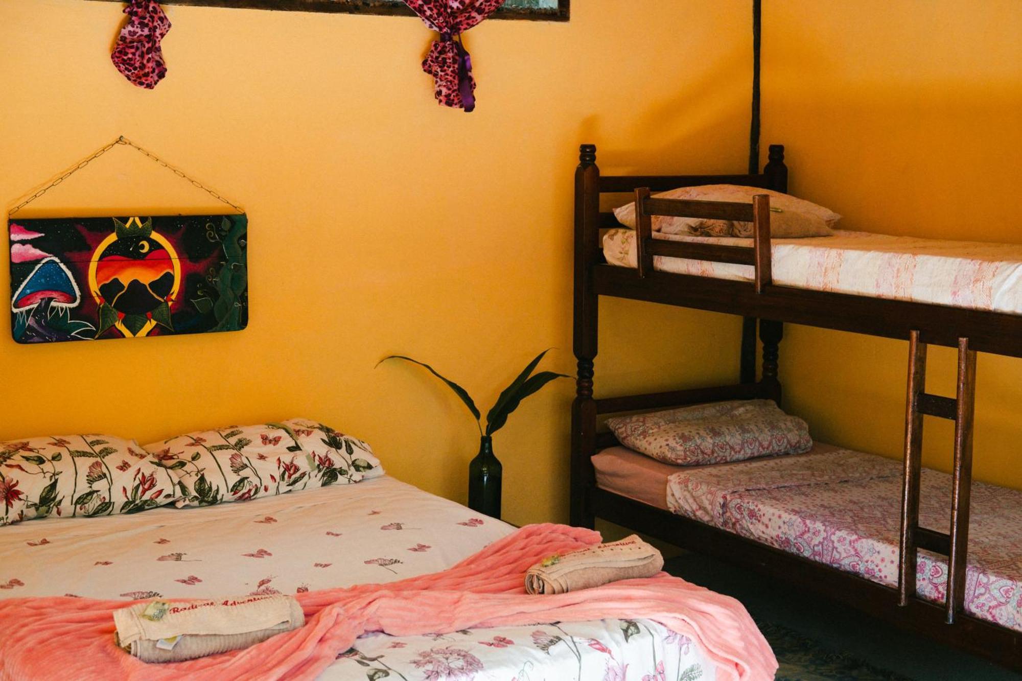Eco Hostel Organic Life ตรินดาเจอ ภายนอก รูปภาพ