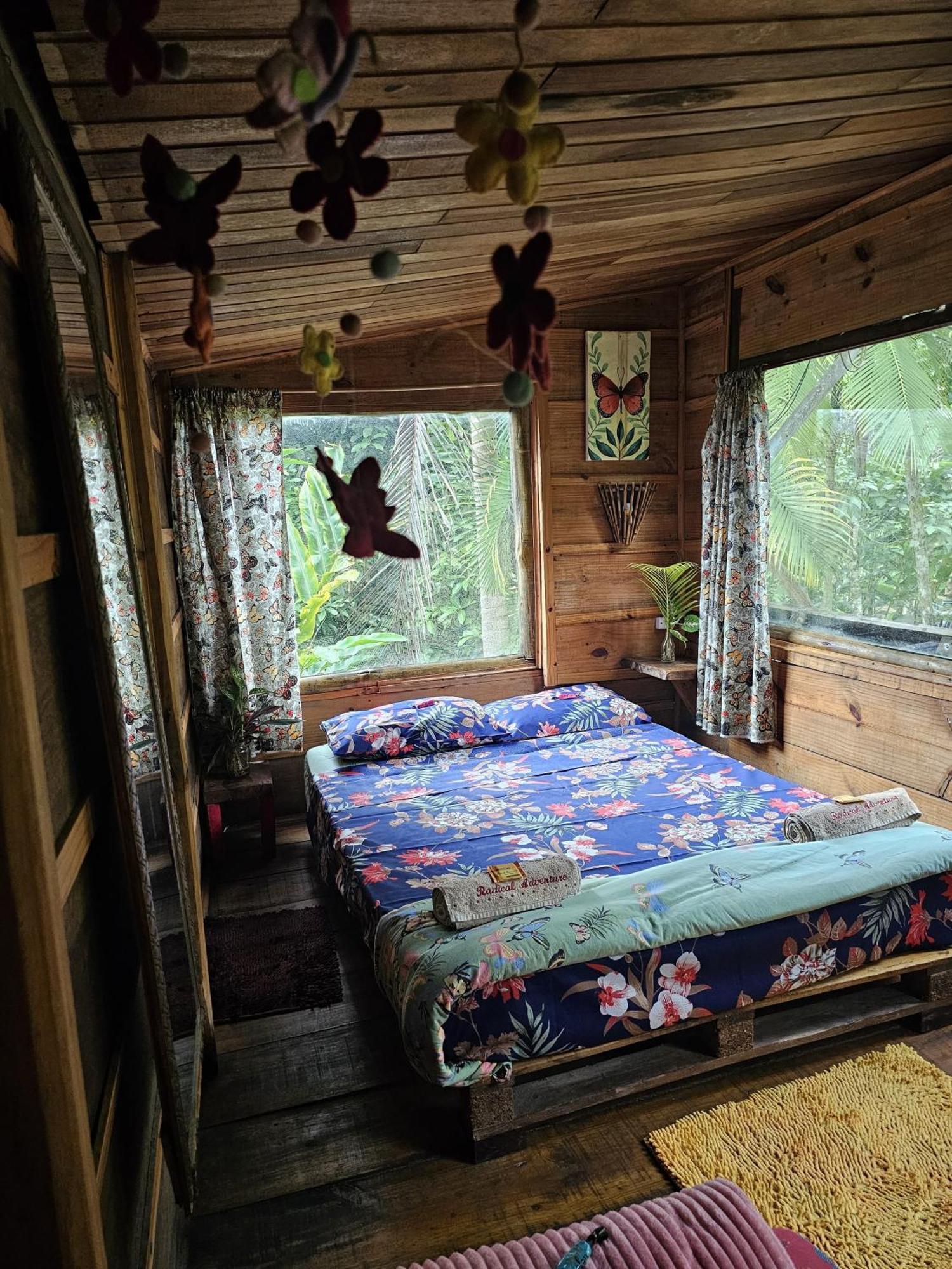 Eco Hostel Organic Life ตรินดาเจอ ภายนอก รูปภาพ