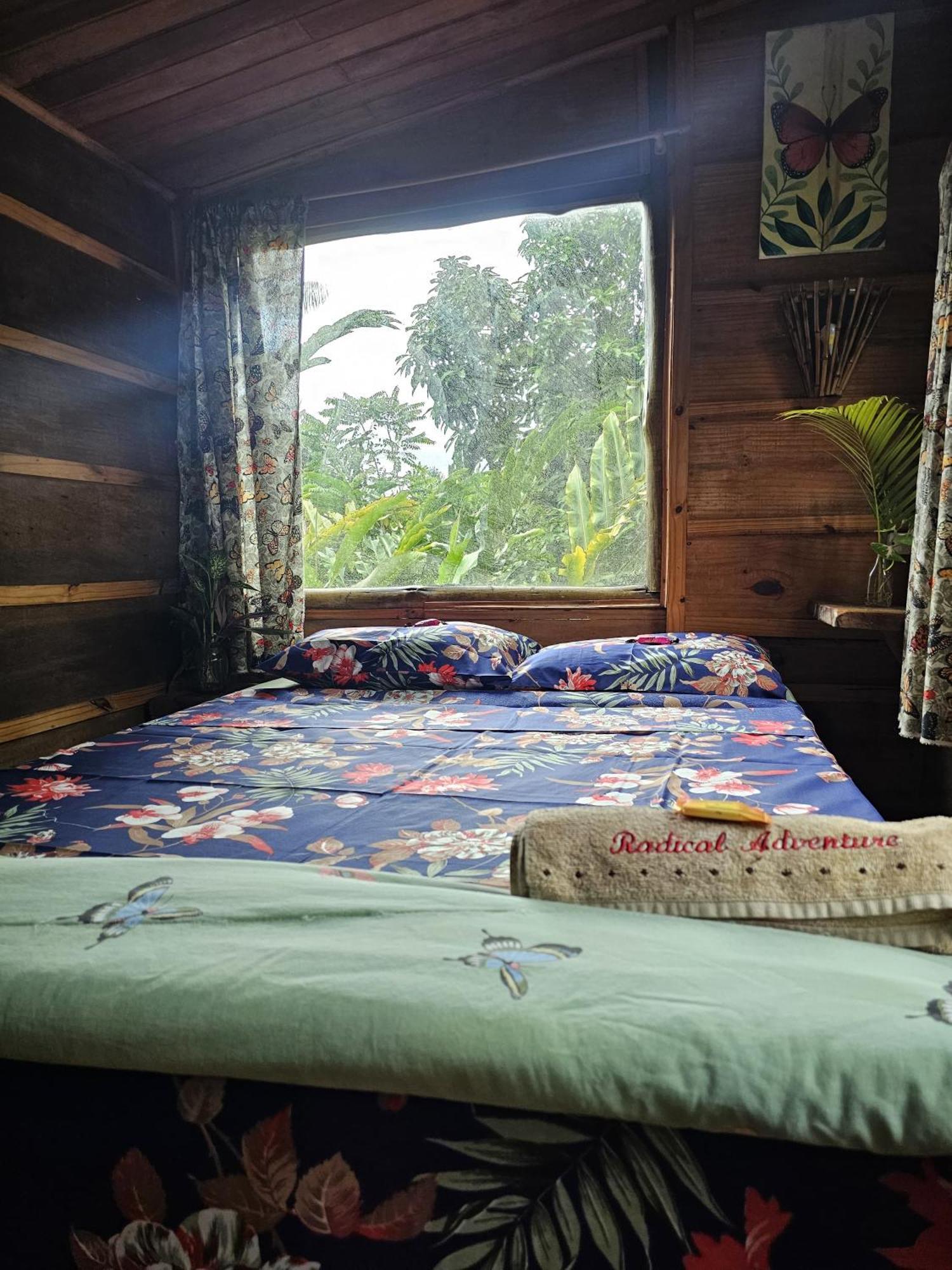 Eco Hostel Organic Life ตรินดาเจอ ภายนอก รูปภาพ