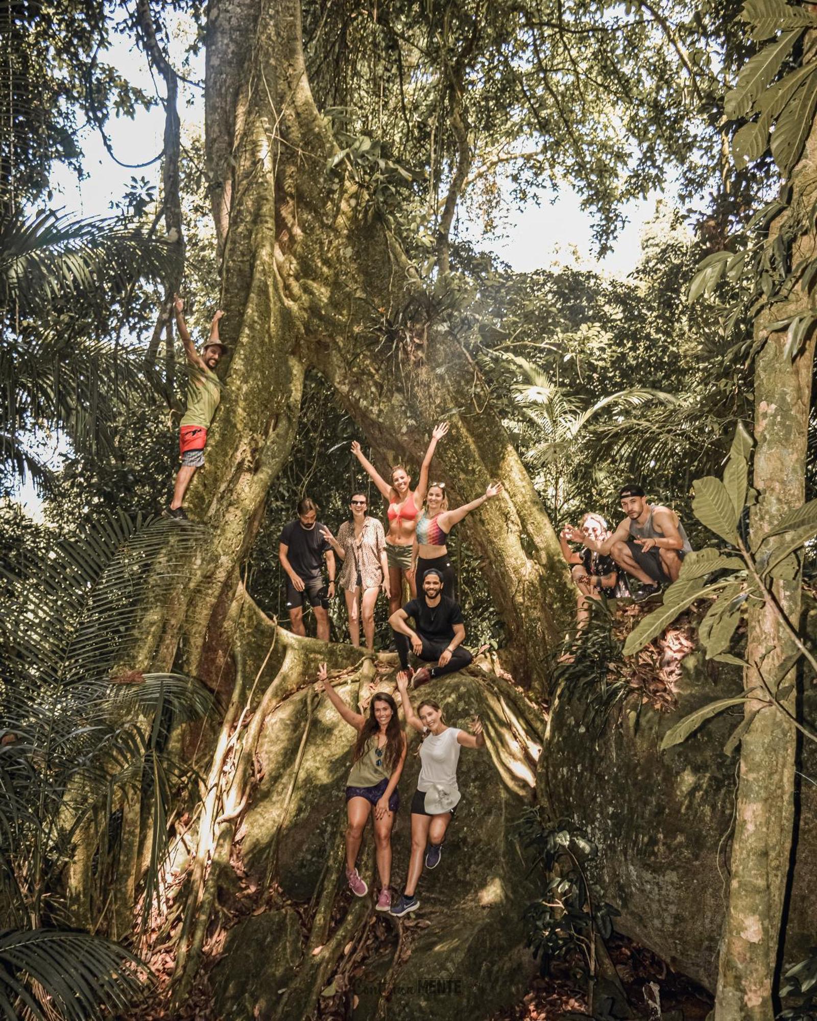 Eco Hostel Organic Life ตรินดาเจอ ภายนอก รูปภาพ